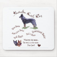 Australian Cattle Dog Art Gifts