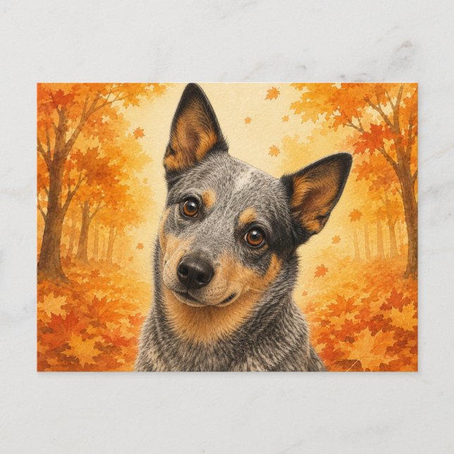 Australian Cattle Dog Autumn Forest Dog Postcard (Front)