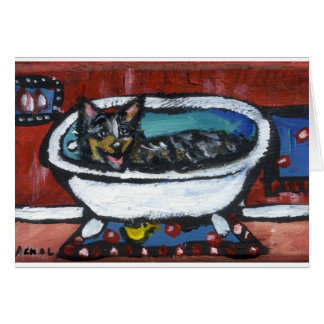 Australian Cattle Dog bath