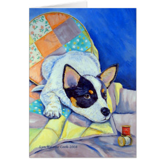 Australian Cattle Dog Cards