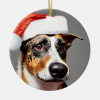Australian Cattle Dog Christmas