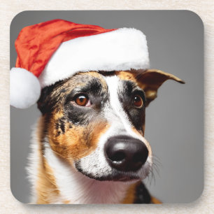 Australian Cattle Dog Christmas Coaster