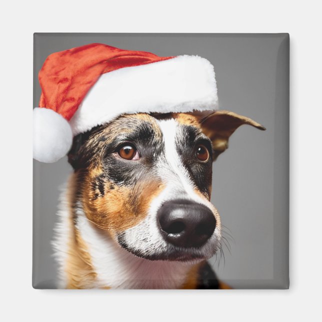 Australian Cattle Dog Christmas Magnet (Front)