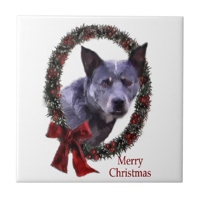 Australian Cattle Dog Christmas Tile (Front)