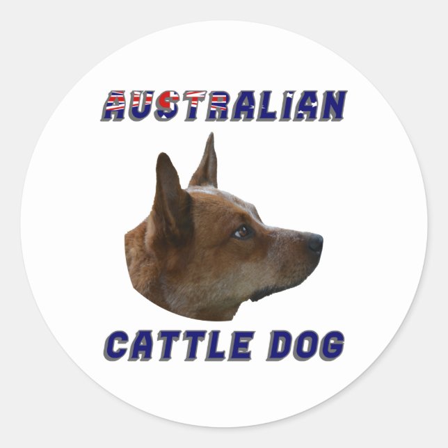 Australian Cattle Dog Classic Round Sticker (Front)