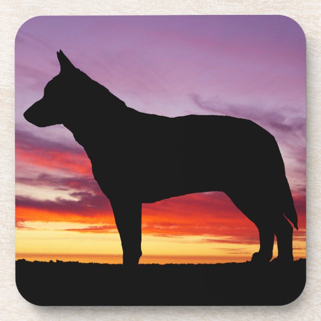 Australian Cattle Dog Coaster (Front)