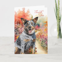 Australian Cattle Dog Colourful Garden Path