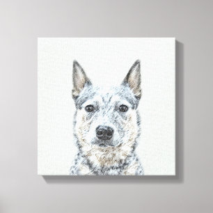 Australian Cattle Dog - Cute Original Dog Art Canvas Print