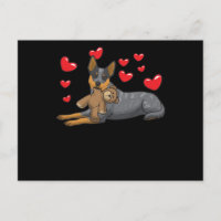 Australian Cattle Dog Dog With Stuffed Animal And