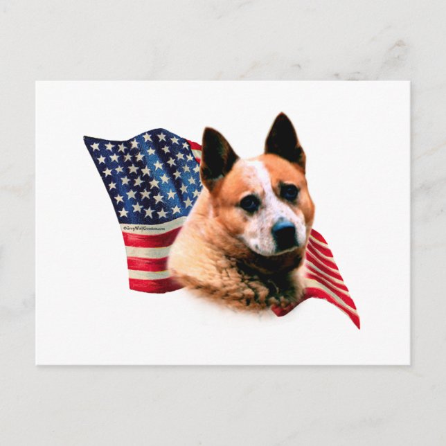 Australian Cattle Dog Flag Postcard (Front)