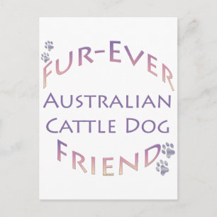 Australian Cattle Dog Furever Postcard