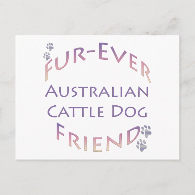 Australian Cattle Dog Furever Postcard (Front)