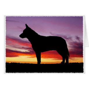 Australian Cattle Dog Greeting Card