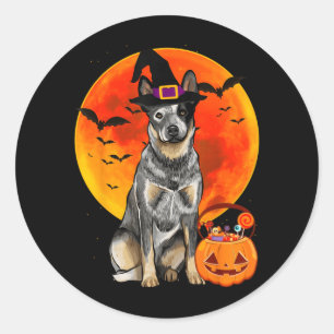 Australian Cattle Dog Halloween Pumpkin Classic Round Sticker