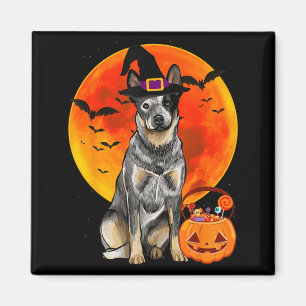 Australian Cattle Dog Halloween Pumpkin Magnet