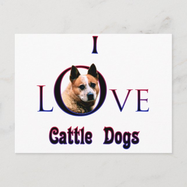 Australian Cattle Dog I Love Postcard (Front)