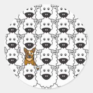 Australian Cattle Dog in the Sheep Classic Round Sticker