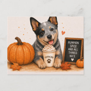 Australian Cattle Dog Inviting Pumpkin Spice Postcard