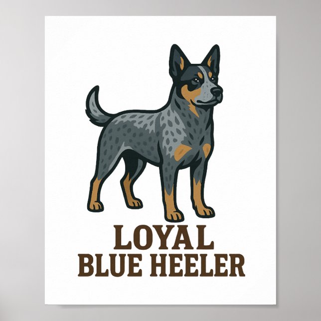 Australian Cattle Dog Loyal Blue Heeler Poster (Front)