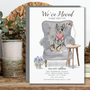 Australian Cattle Dog Moving Announcement