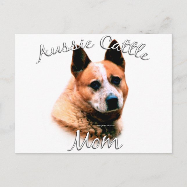 Australian Cattle Dog Mum 2 Postcard (Front)