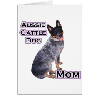 Australian Cattle Dog Mum 4