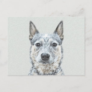 Australian Cattle Dog Painting - Cute Original Art Postcard