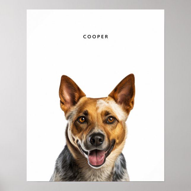 Australian Cattle Dog Personalised Print (Front)