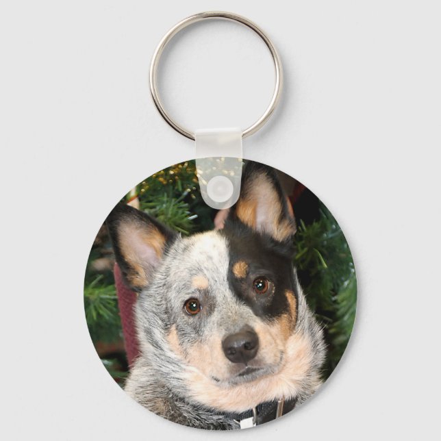 Australian Cattle Dog Photo Key Ring (Front)