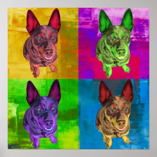 Australian Cattle Dog Pop Art Poster