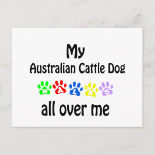 Australian Cattle Dog Postcard