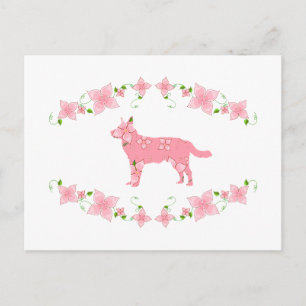 Australian Cattle Dog Postcard