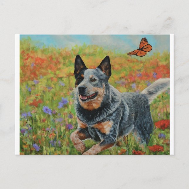 australian cattle dog postcards, Charming Australi Postcard (Front)