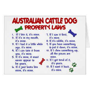 AUSTRALIAN CATTLE DOG Property Laws 2