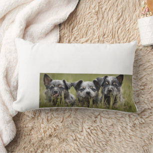 Australian Cattle Dog puppy Blue Heeler Throw Lumbar Cushion
