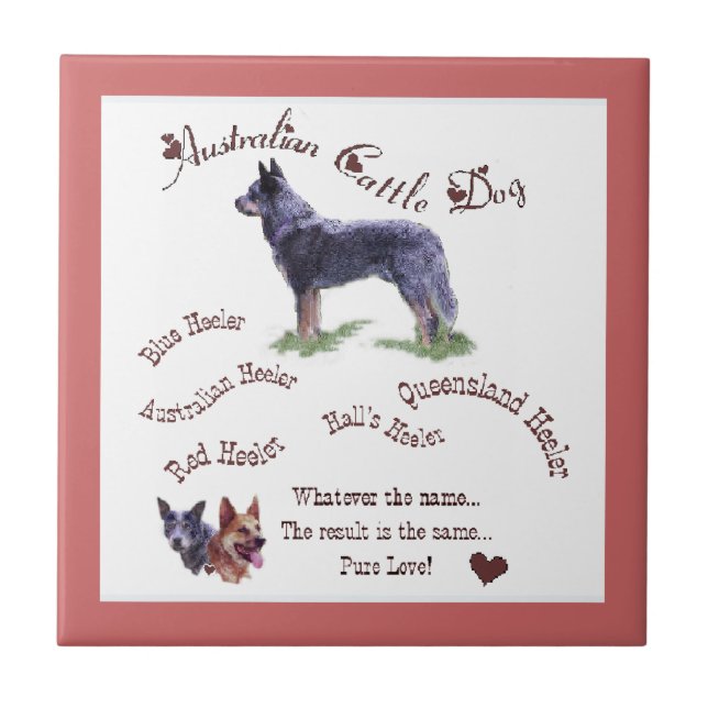 Australian Cattle Dog Pure Love Tile (Front)