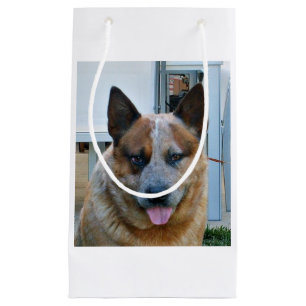 australian cattle dog red.png small gift bag
