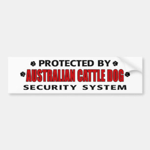 Australian Cattle Dog Security Bumper Sticker