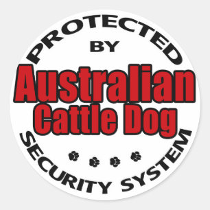 Australian Cattle Dog Security Classic Round Sticker
