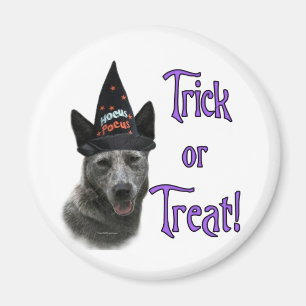 Australian Cattle Dog Trick Magnet