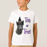 Australian Cattle Dog Trick