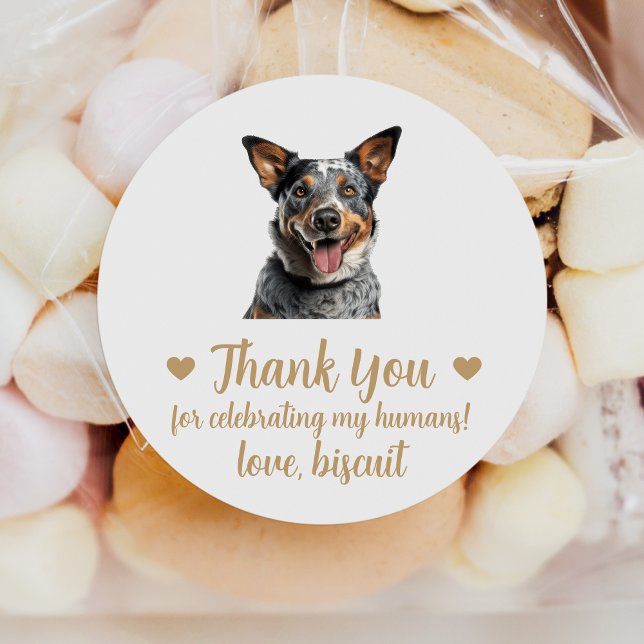 Australian Cattle Dog Wedding Favour Stickers (Creator Uploaded)