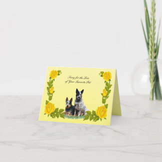 Australian Cattle Dog & Yellow Roses Sympathy Card