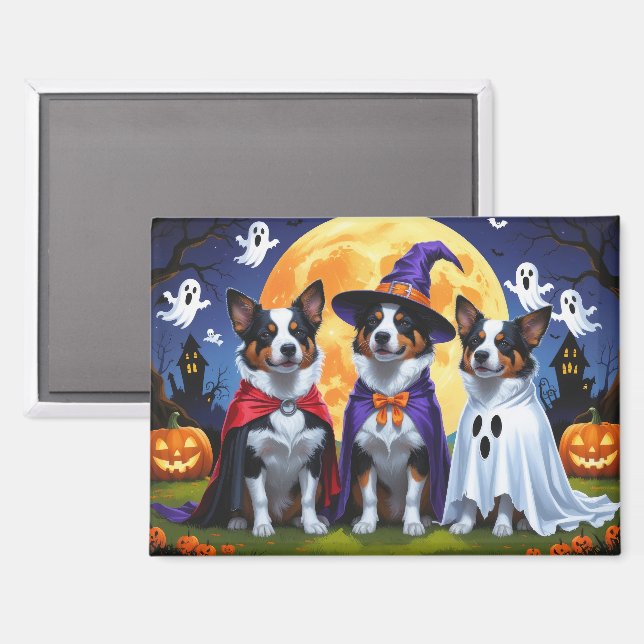 Australian Cattle Dogs Pumpkin Halloween Funny Magnet (Front/Back)