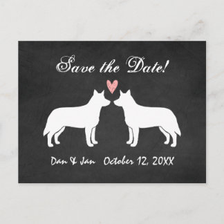 Australian Cattle Dogs Wedding Save the Date Announcement Postcard