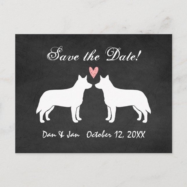 Australian Cattle Dogs Wedding Save the Date Announcement Postcard (Front)