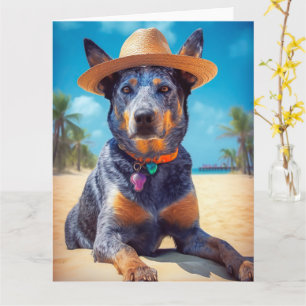 Australian Cattle on Beach,dog lovers summer gift Card