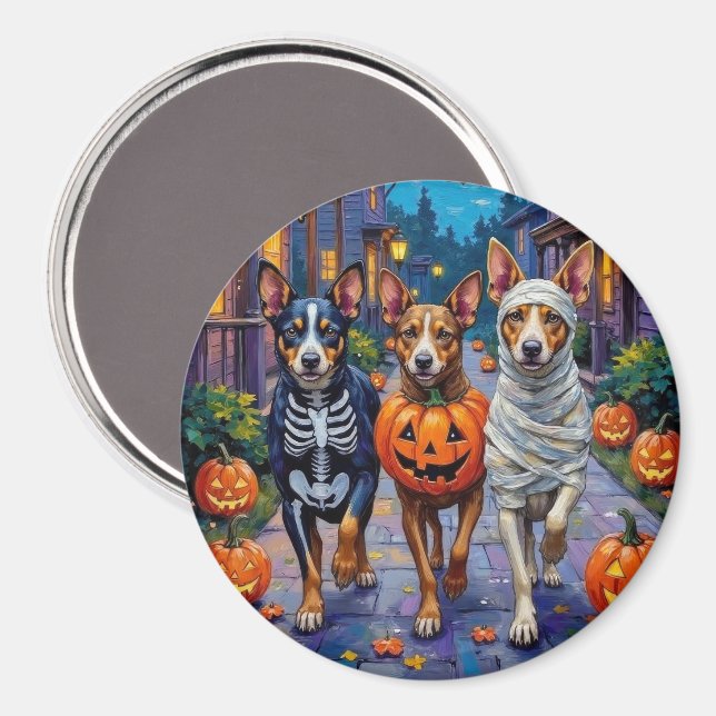 Australian Cattle Trick-or-Treating in Halloween Magnet (Front/Back)