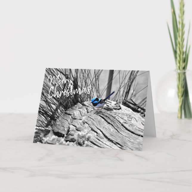 Australian Christmas Greeting Card Fairy Blue Wren (Front)