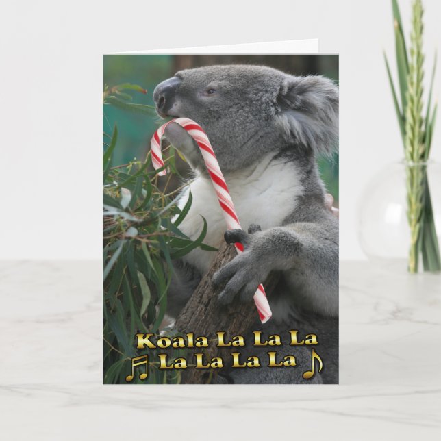 Australian Christmas Koala With Candy Cane Holiday Card (Front)